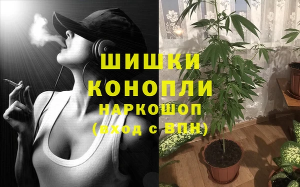 дмт Алзамай