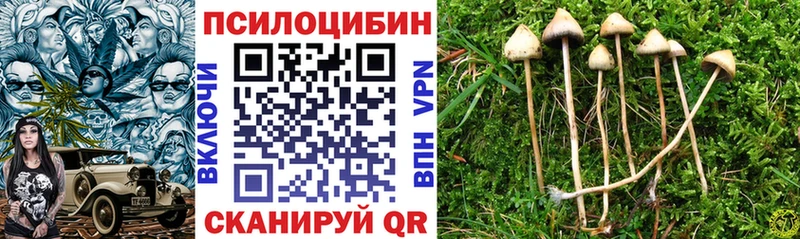 Галлюциногенные грибы мухоморы  Бологое 